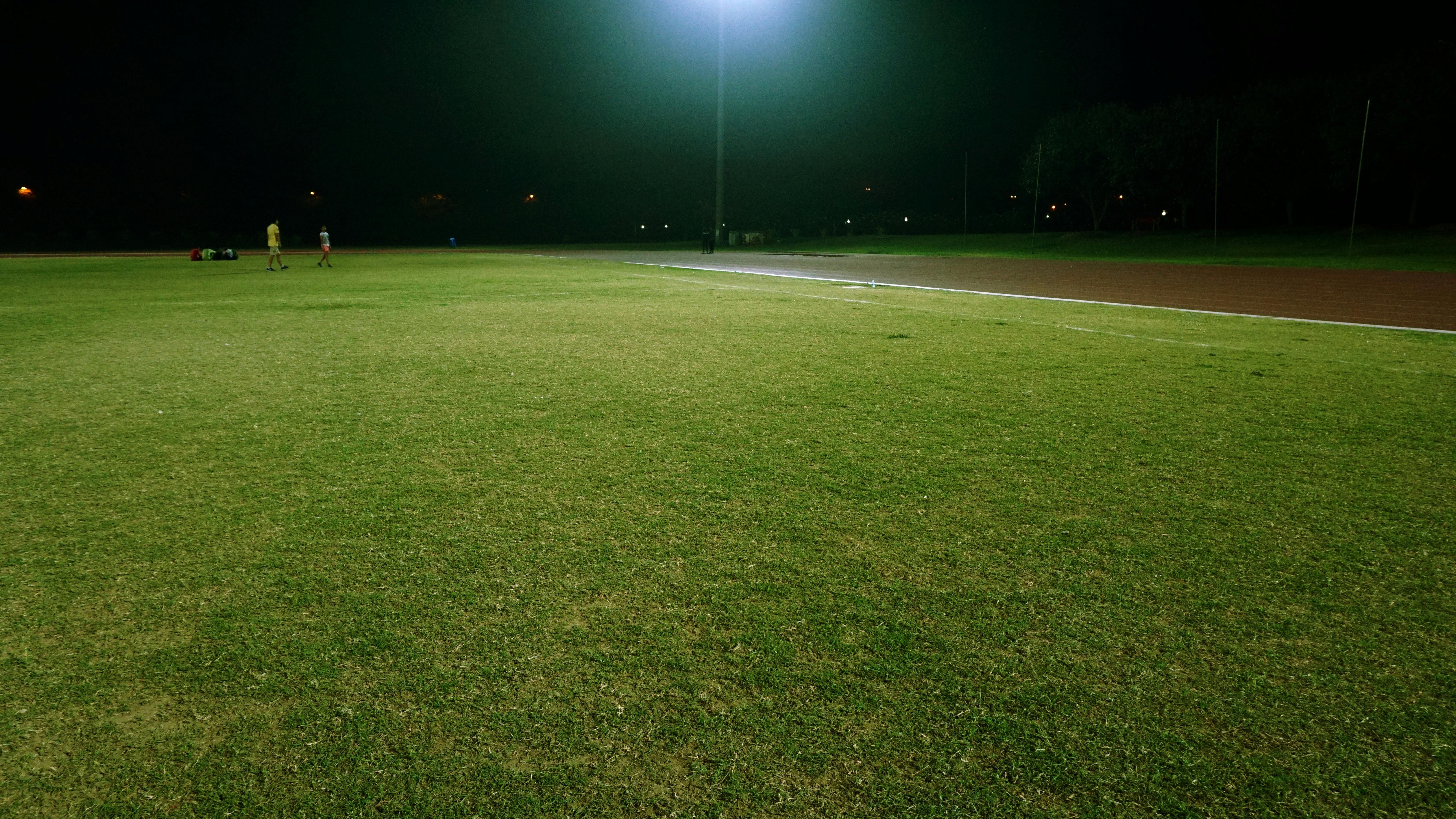 Photo by Digital Buggu: https://www.pexels.com/photo/green-grass-186240/